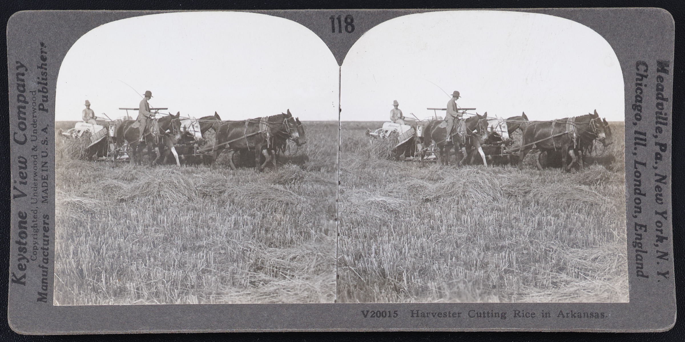 Harvester Cutting Rice in Arkansas