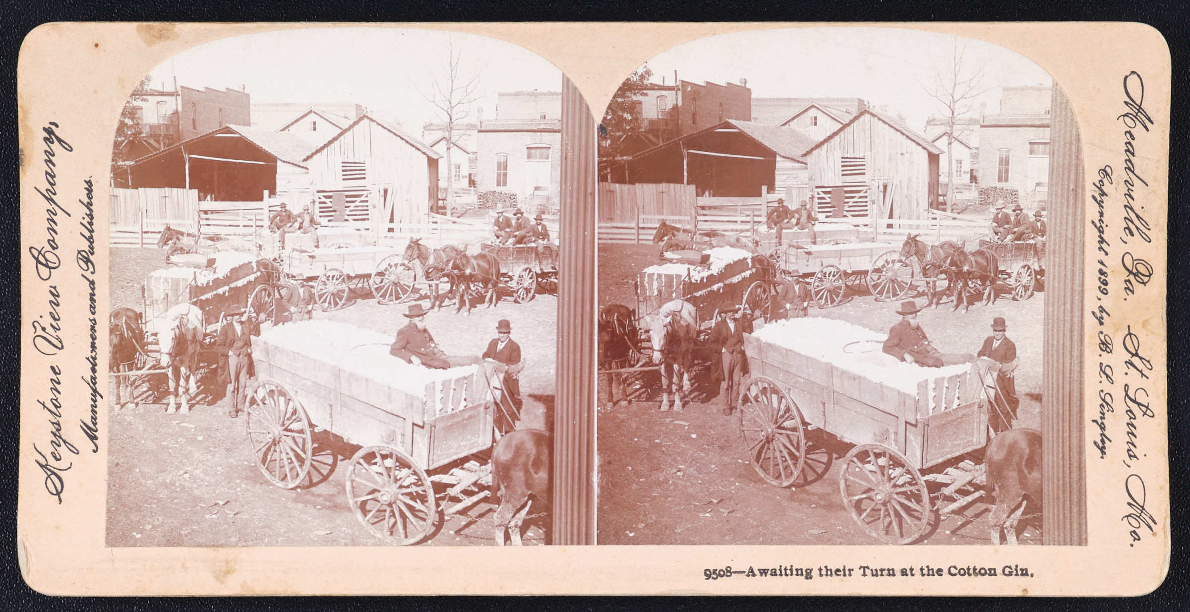 Awaiting their Turn at the Cotton Gin.
