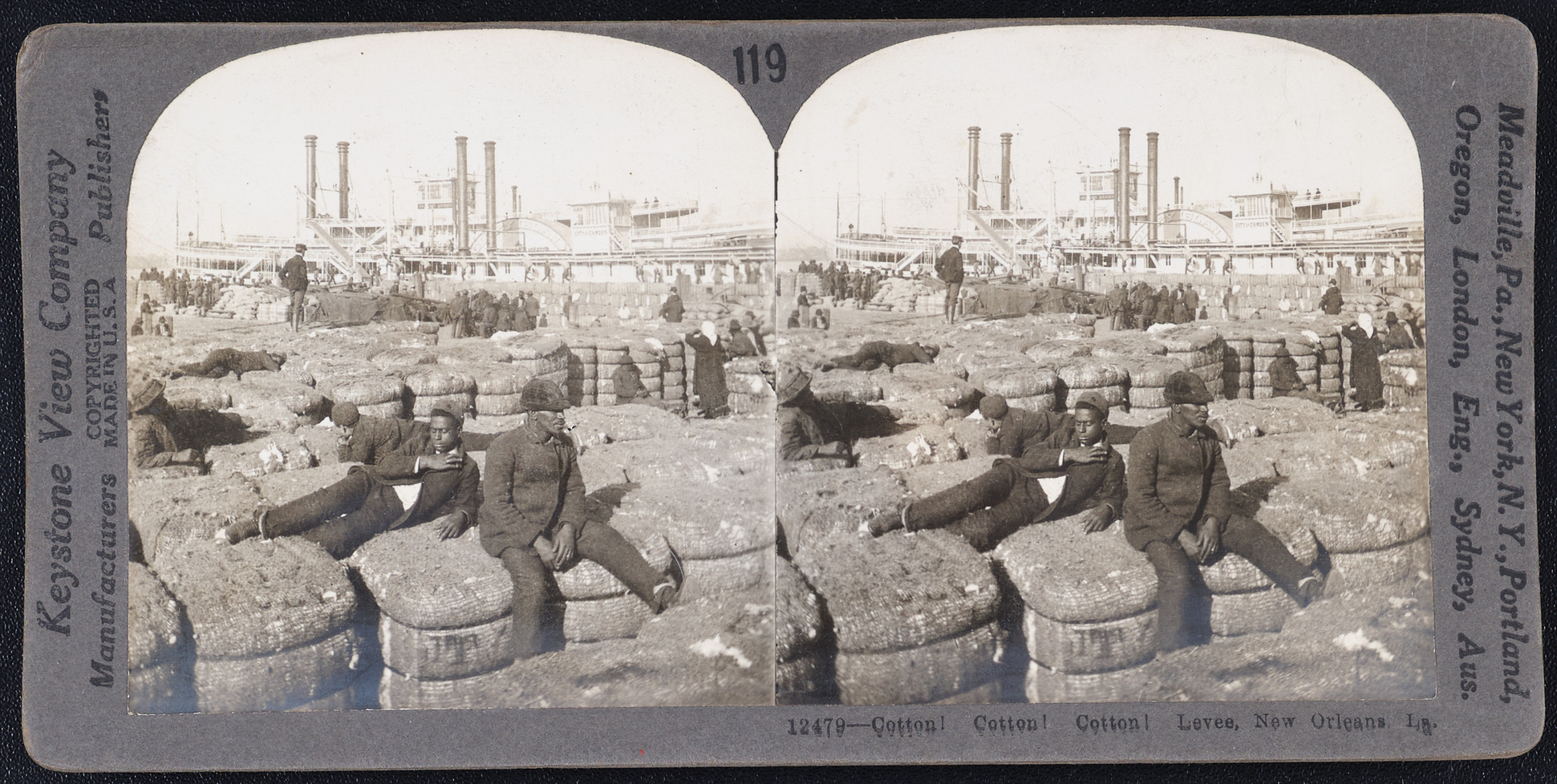 Cotton! Cotton! Cotton! Levee, New Orleans, La.