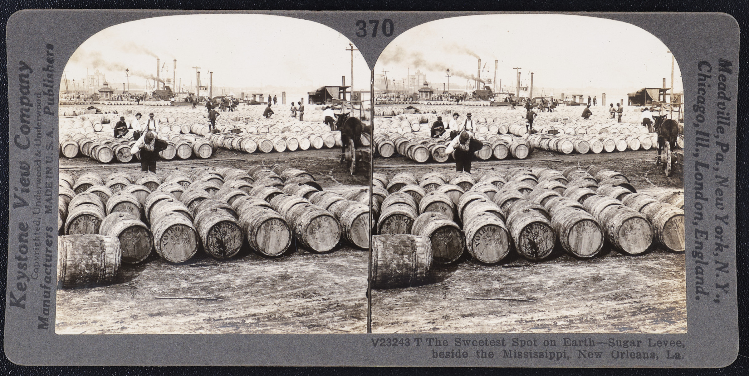 The Sweetest Spot on Earth – Sugar Levee, beside the Mississippi, New Orleans, La.