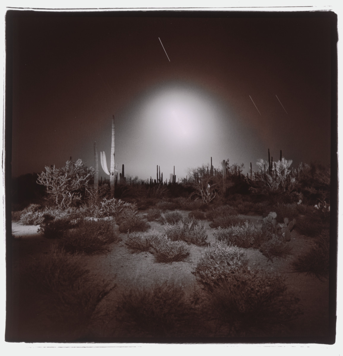Untitled (Ground/Sky/Saguaro Transition, Arizona)