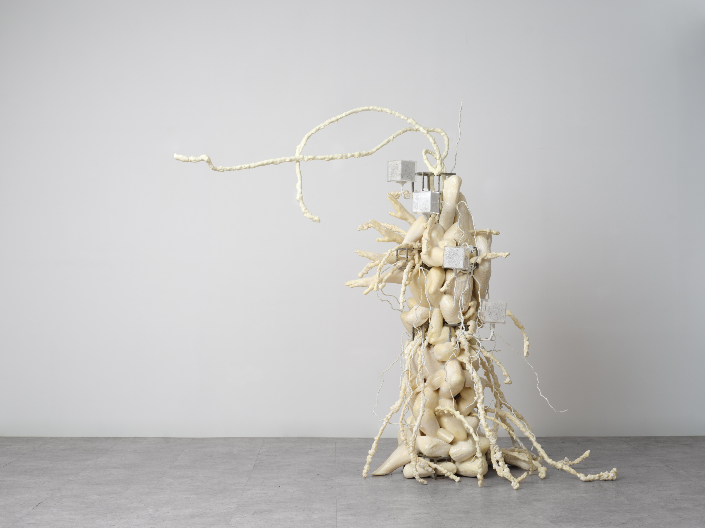 Physically: Enfolded By