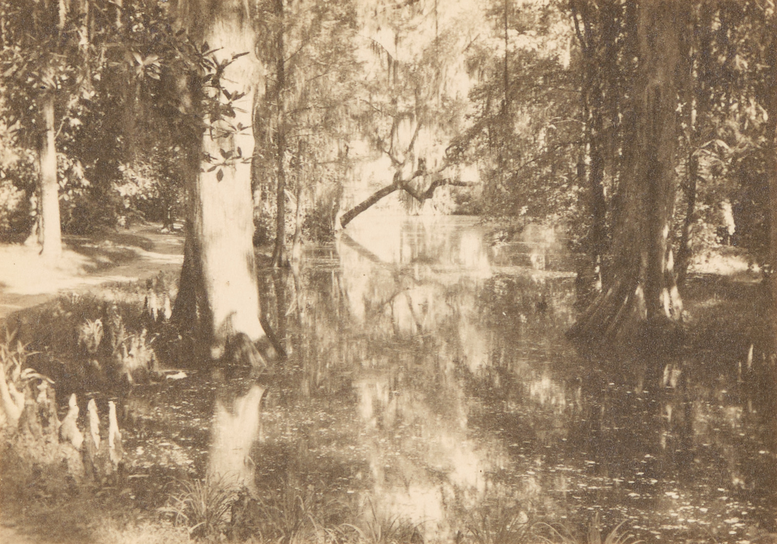 Magnolia Gardens 1946