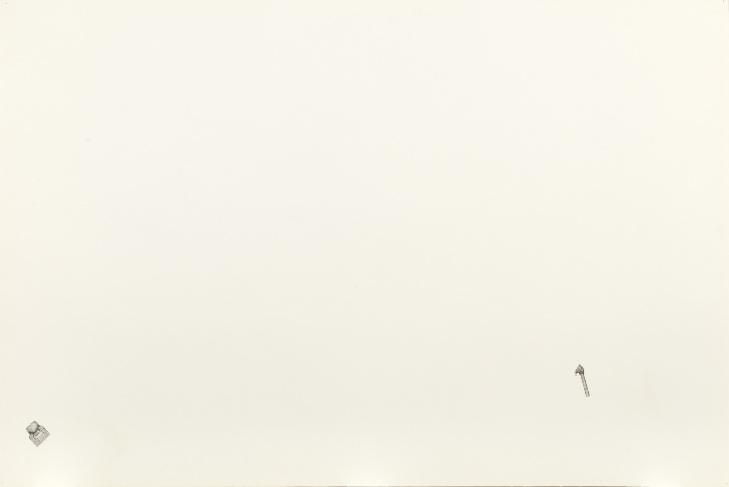 From “Just Such a Pineapple”