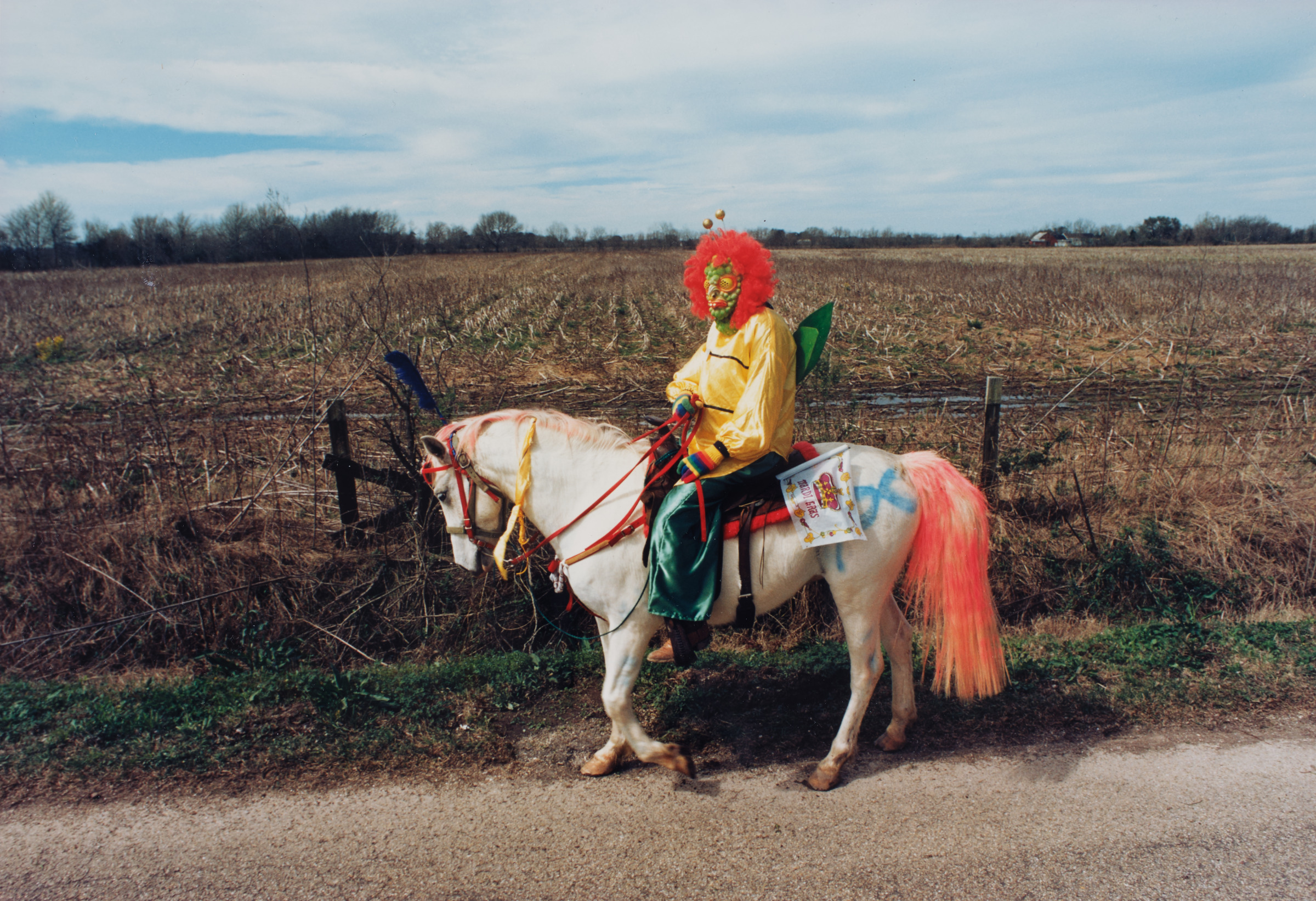 Bug on a Horse. Courir de Mardi Gras, Church Point, LA