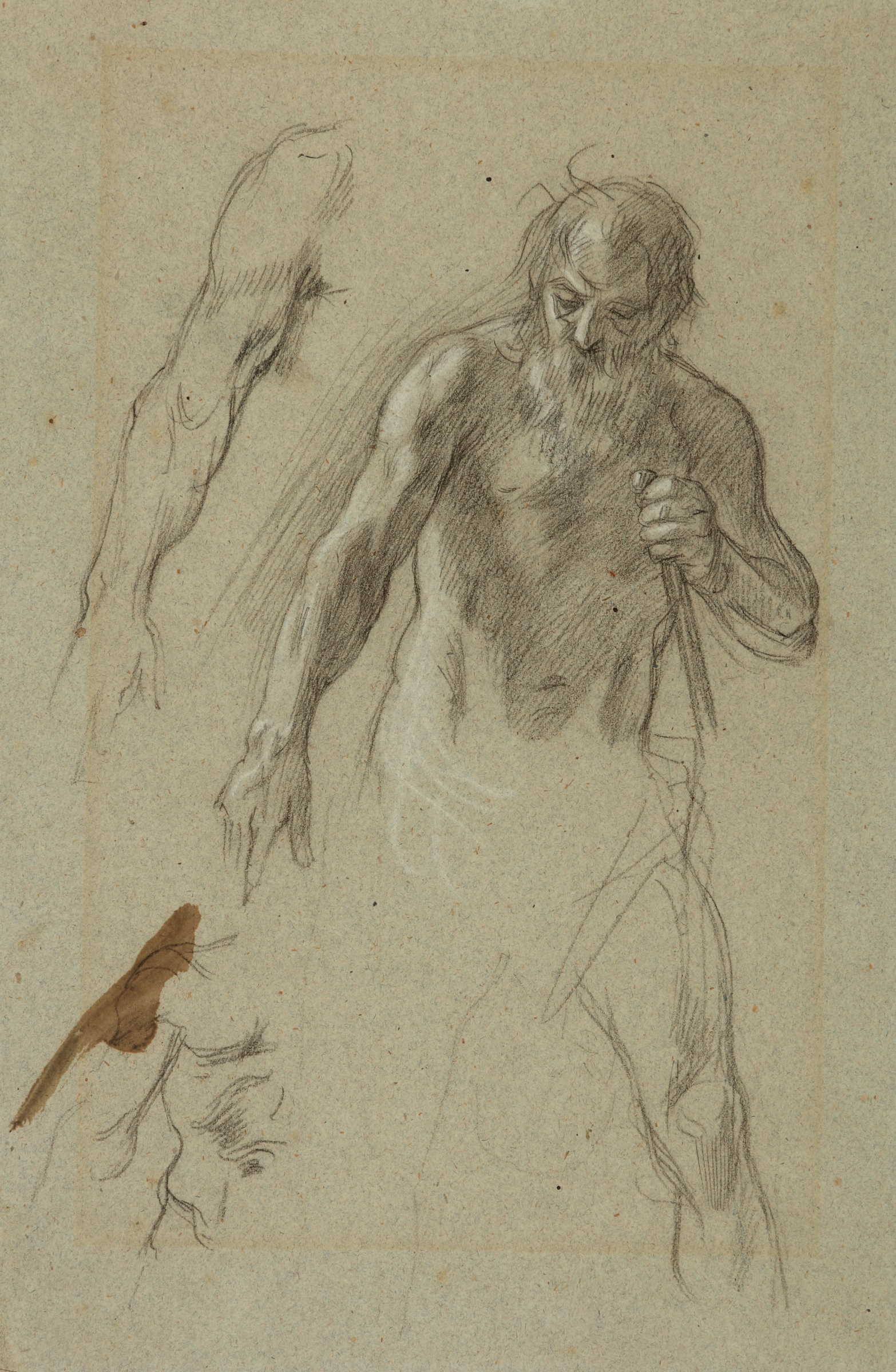Studies of an Old Man