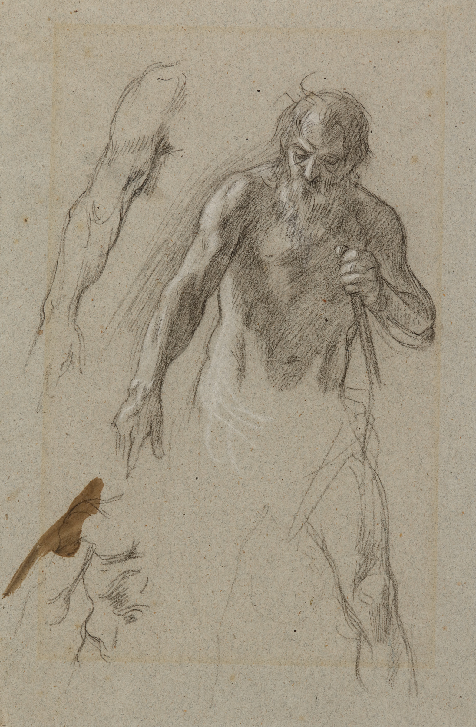 Studies of an Old Man