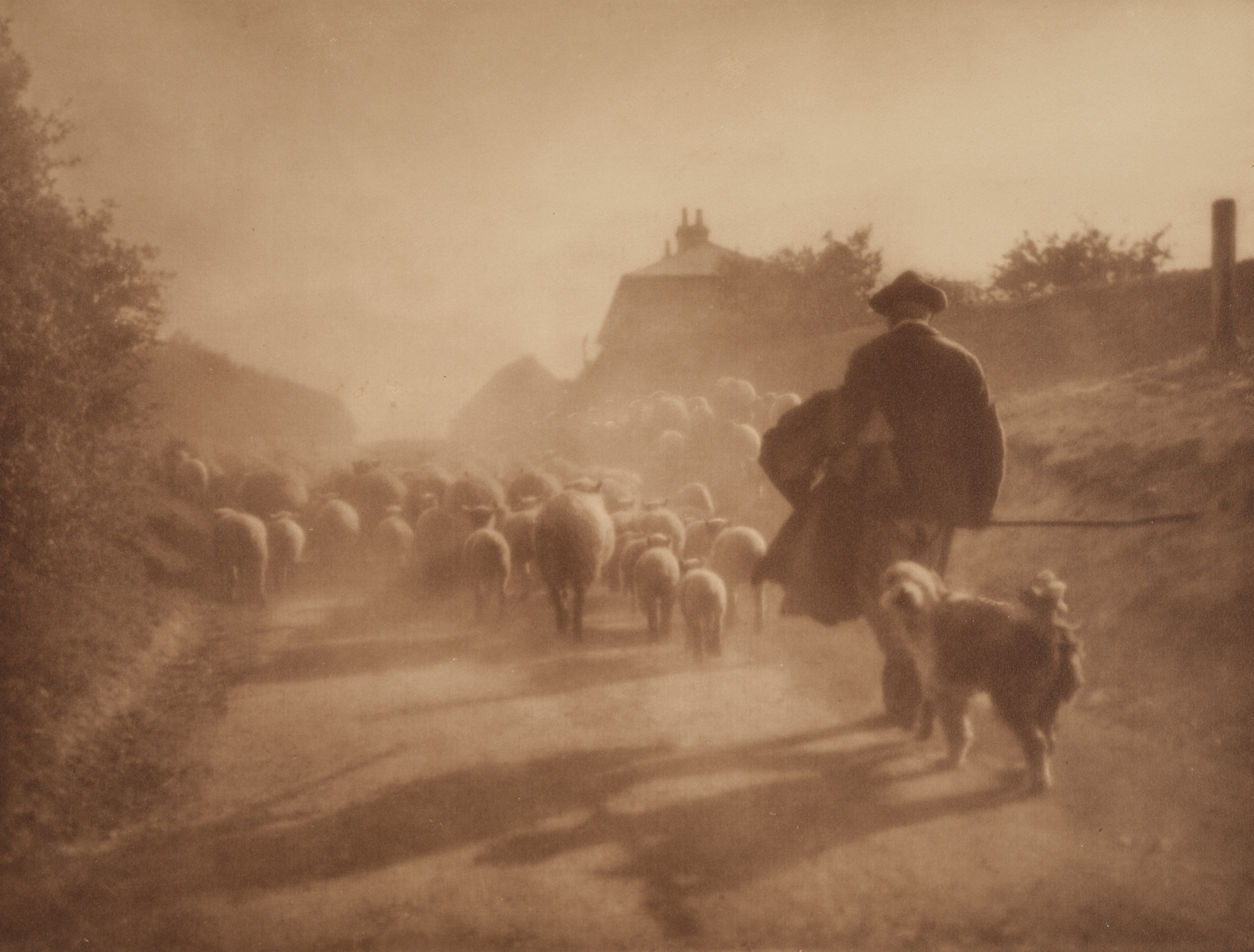 A Dusty Road at Blatchington