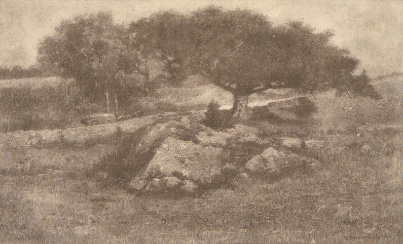 The Roadside