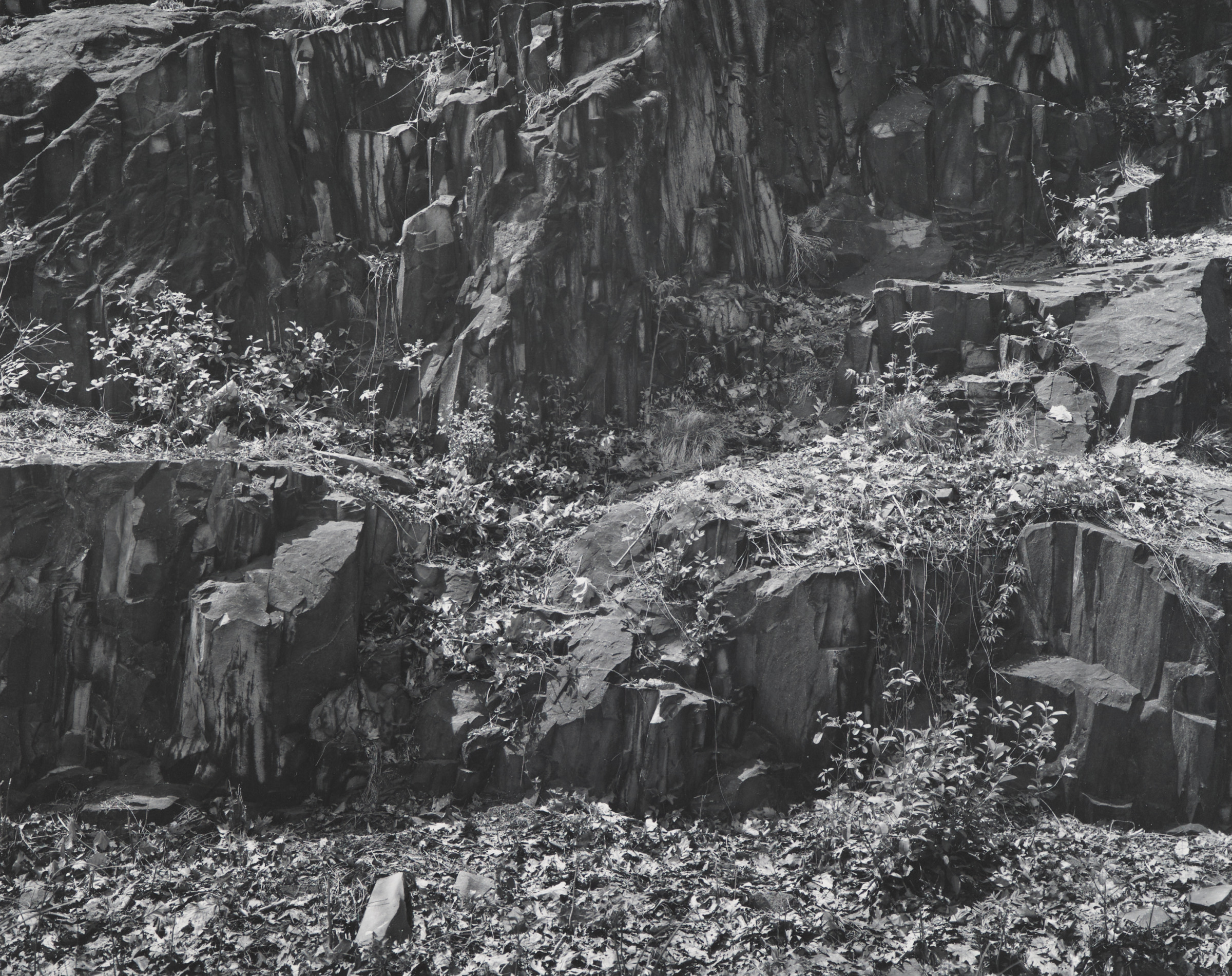 Rock Ledges, Garret Mountain